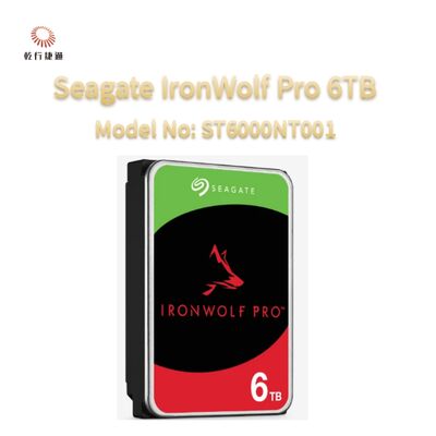 Seagate Ironwolf Pro 6TB numéro de modèle: ST6000NT001
